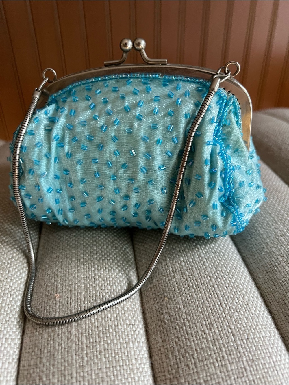 Cache Beaded Evening Bag